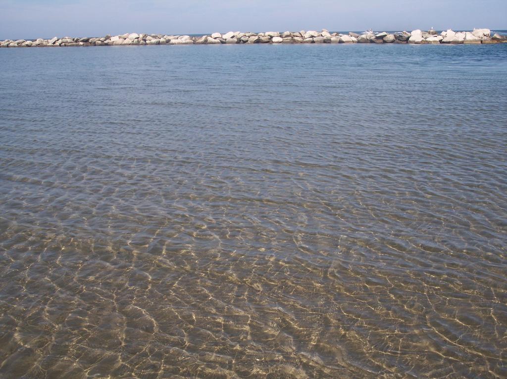 Hotel Eden Viserbella di Rimini Bagian luar foto