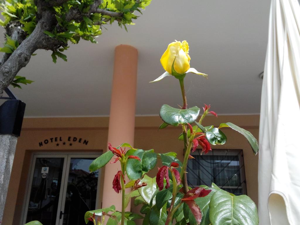 Hotel Eden Viserbella di Rimini Bagian luar foto